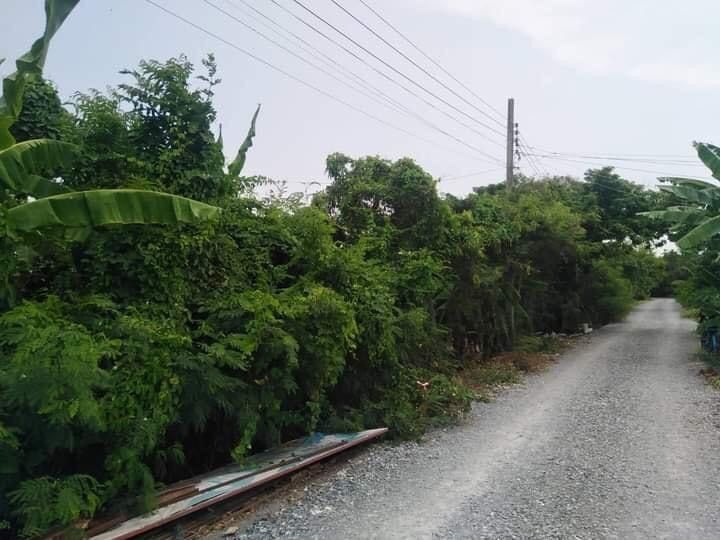 ขายที่ดินบางแวก