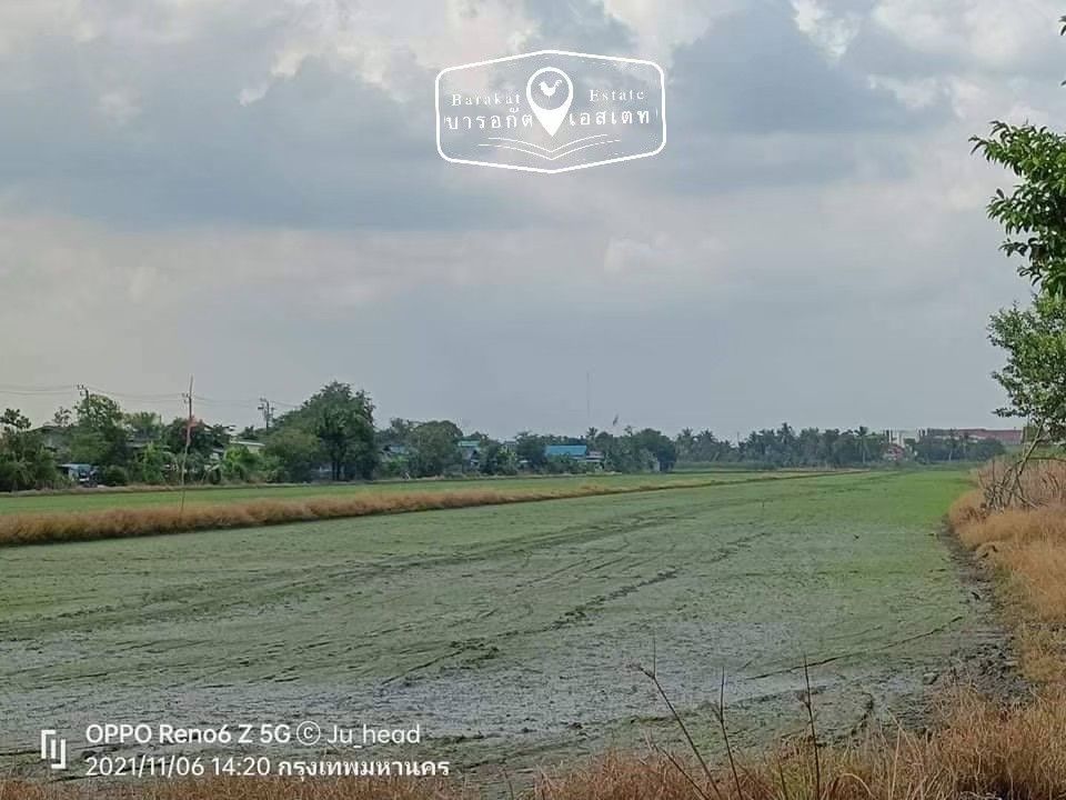 ดินแปลงสวย ความสุขของคนกรุง สาธารณูปโภค ครบครัน เขตหนองจอก จังหวัดกรุงเทพฯ