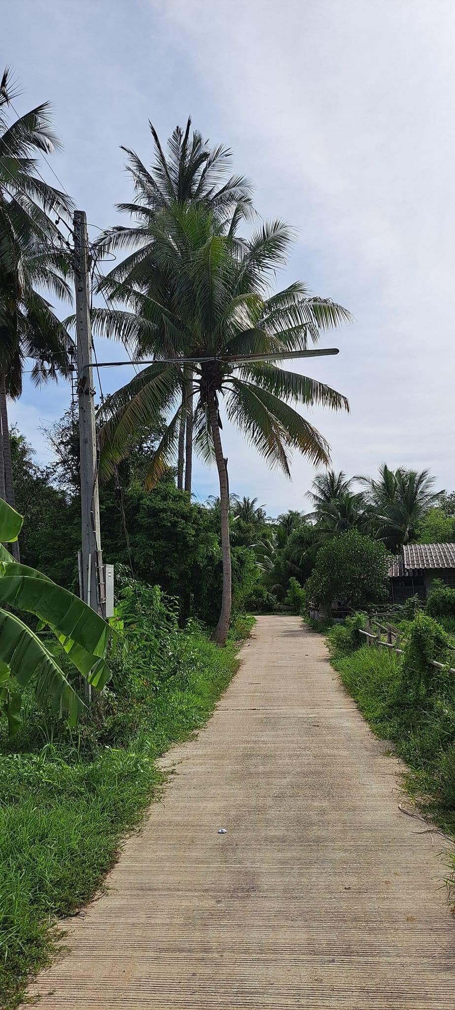 ขายที่ดินราชบุรี ที่ดินสวย ถมแล้ว บบรยากาศชายทุ่ง เหมาะปลูกบ้านพักอาศัย โพธาราม 1-0-0 ไร่.