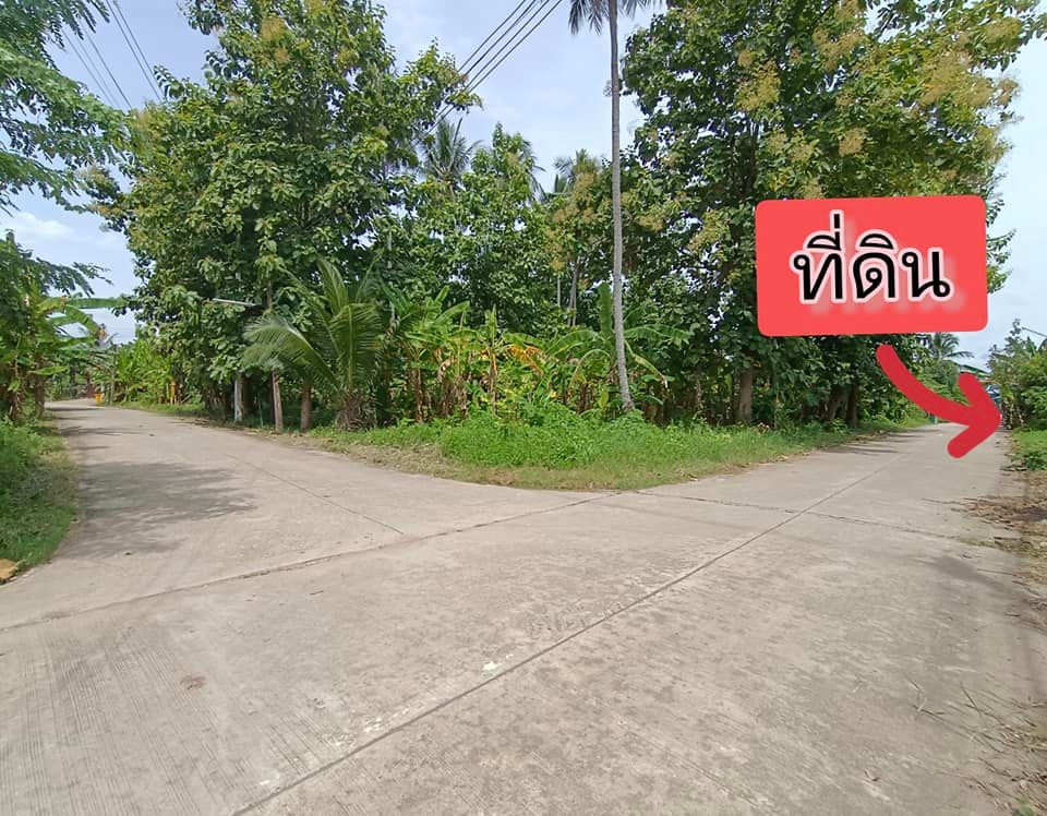 ขายที่ดินเพชรบูรณ์ อ.เมือง จ.เพชรบูรณ์ 0-2-52ไร่