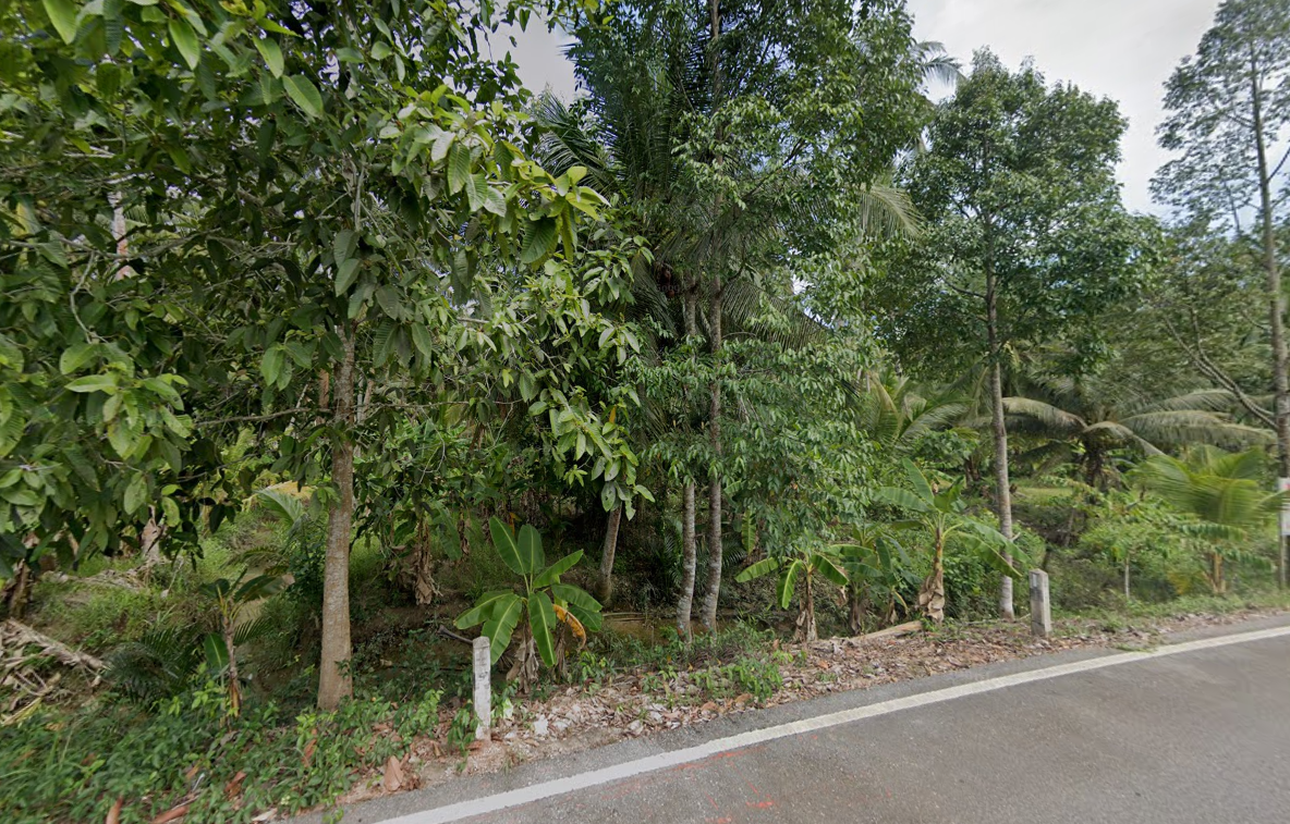 ขายที่ดินเปล่า สุราษฎร์ธานี