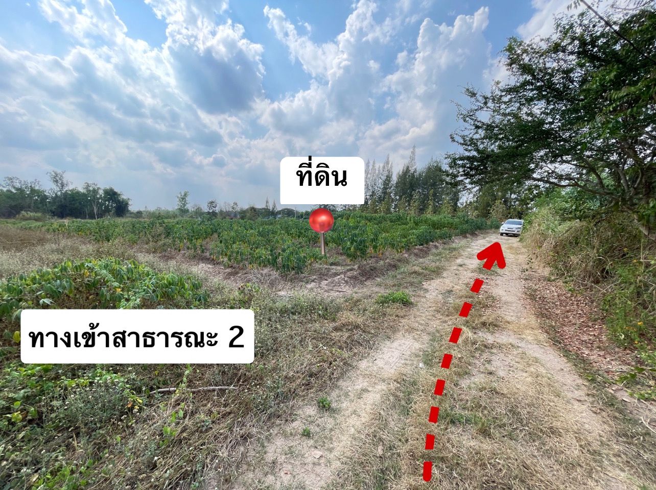 📢 ขายที่ดินโฉนด‼️ 4 ไร่ 2 งาน 79 ตร.ว. อ.สวนผึ้ง จ.ราชบุรี ไร่ละ 550,000 บาท 🔥 มีไฟฟ้า น้ำประปา แหล่งชุมชน เดินทางสะดวก