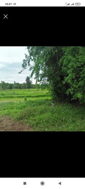 ที่ดินเปล่า เมืองหนองคาย 5-2-85.2