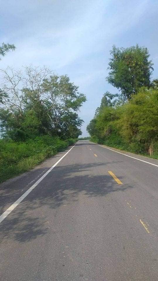 ที่ดิน ติดถนนทางหลวงชนบท ชัยภูมิ 5 ไร่