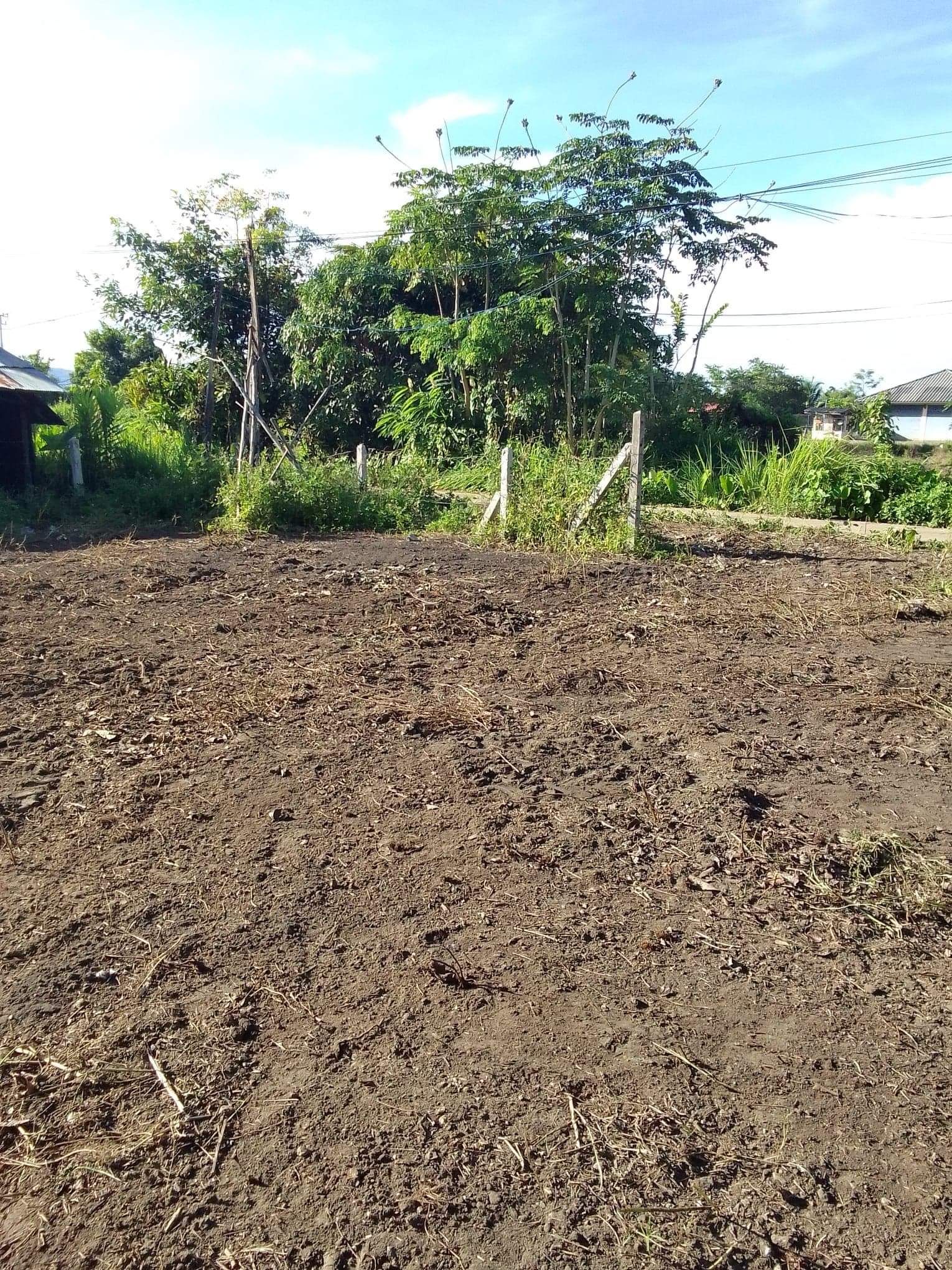 ที่ดิน 267 ตรว. แม่ลาว เชียงราย