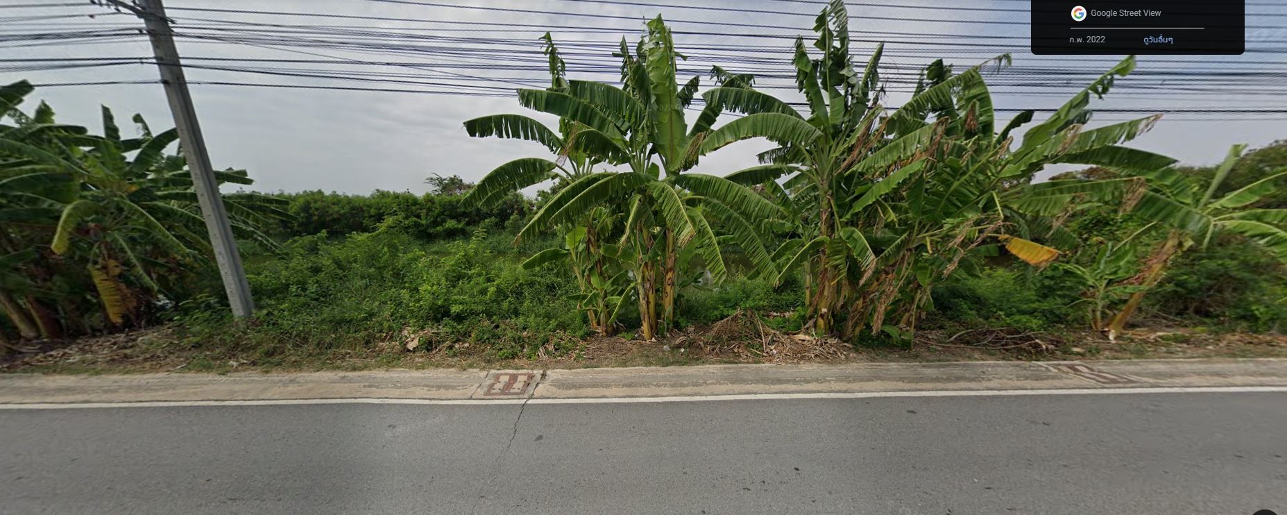 ขายด่วน!!!ที่ดินเลียบคลองส่งน้ำ ซอย เทศบาลบางปู 113