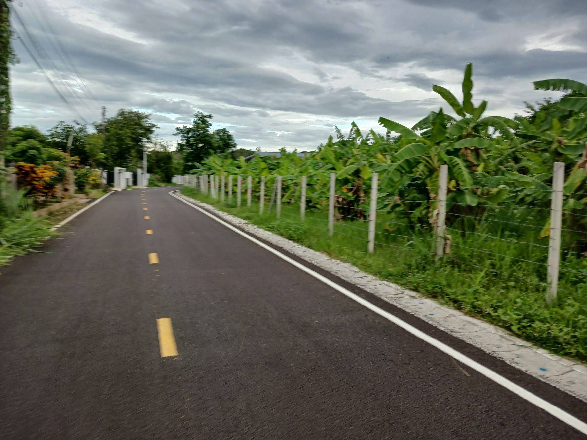 ขายที่ดินเชียงใหม่ ที่ดินแปลงสวย ทำเลดี สัญจนสบาย ใกล้แหล่งอำนวยความสะดวกมากมายรอบด้าน เมืองเชียงใหม่ 0-3-68