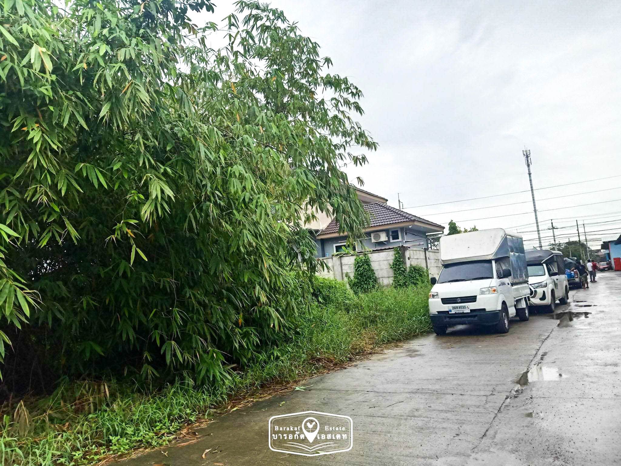 ที่สวย 50 ตร.ว. พร้อมสาธารณูปโภคครบครัน การเดินทางสะดวก ใกล้ เคหะหนองจอก