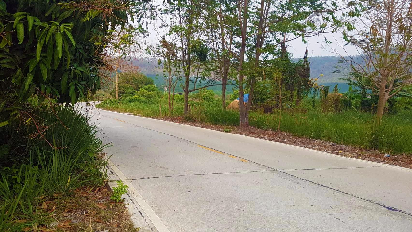 ลดราคาขายด่วน!! ที่ดิน 24 ไร่ ต.แม่นาวาง อ.แม่อาย จ.เชียงใหม่ ติดถนน มีรถสองแถวผ่าน