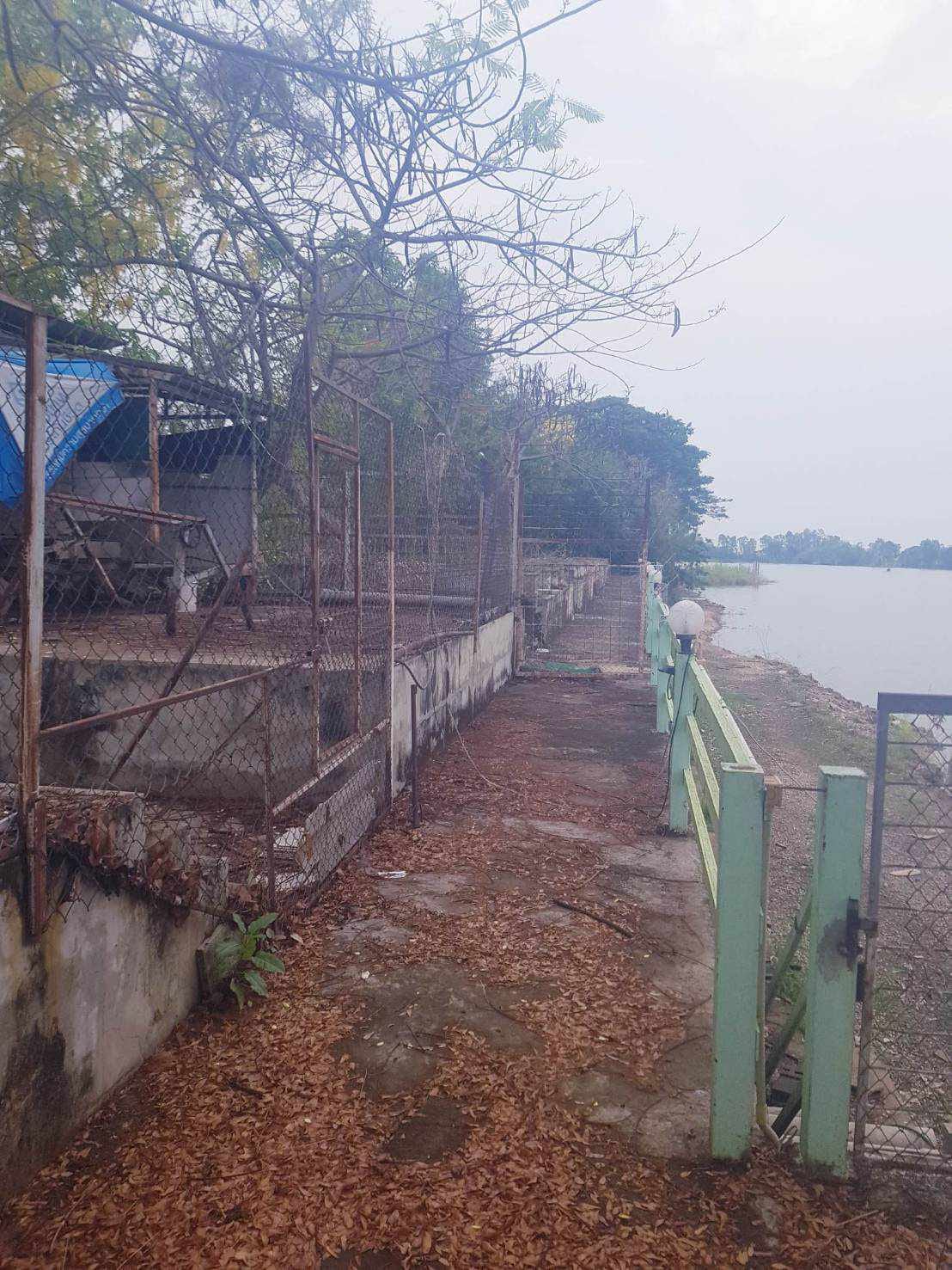 ที่ดินใกล้ทางสาธารณะ ใกล้เมืองพิษณุโลก 