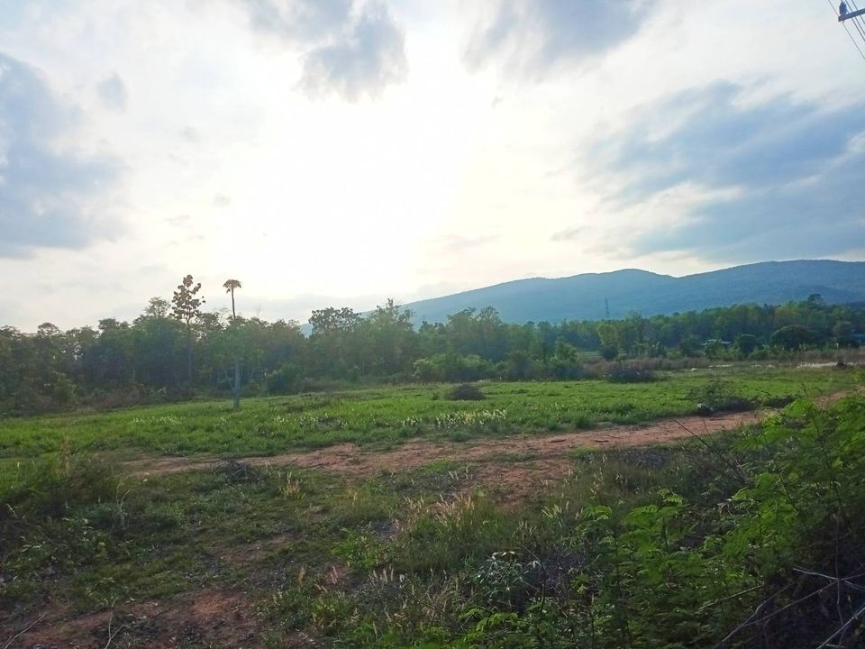 ที่ดินแปลงสวย ชัยภูมิ 6 ไร่