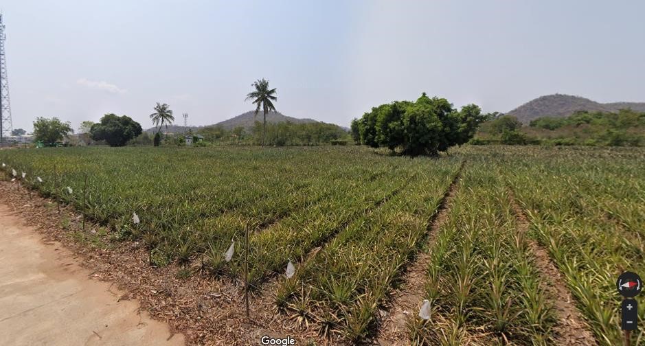 ขายที่ดินประจวบ ที่ดินติดถนนคอนกรีต ทางหลวงท้องถิ่น ซอยหัวหิน 105