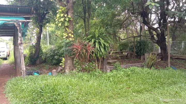 บ้านพร้อมที่ดิน อ.เมืองสกลนคร จ.สกลนคร 0-2-53