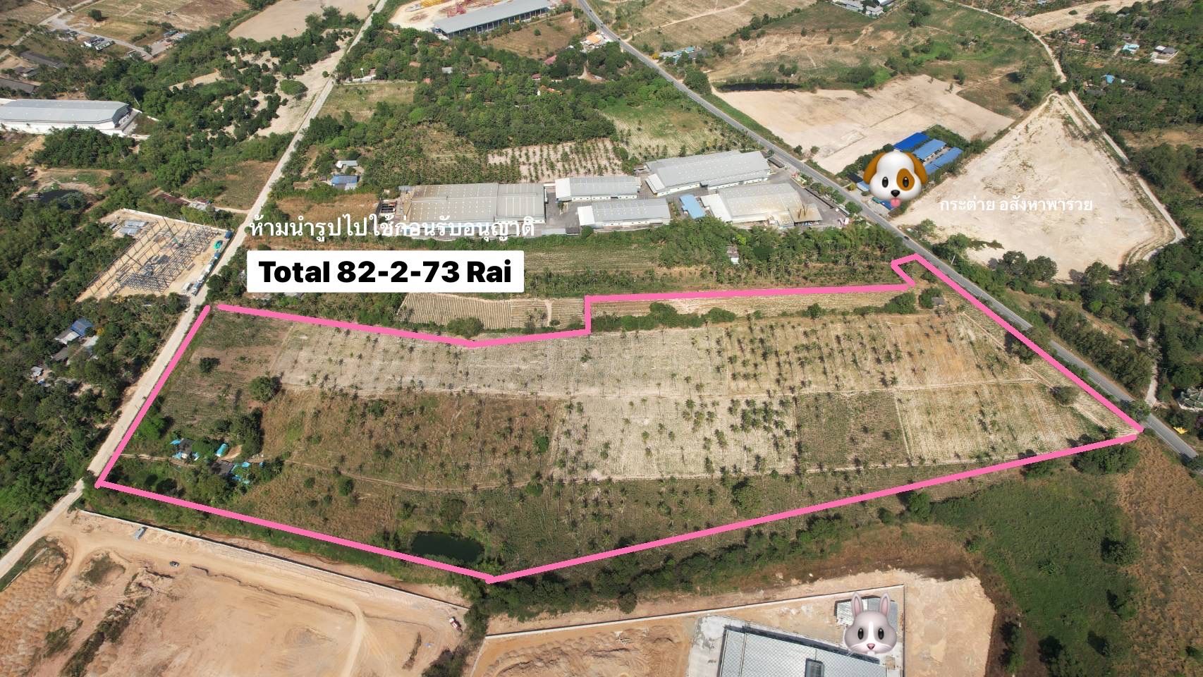 ต้องการที่ดินชลสีม่วงลาย แปลงใหญ่ 82 ไร่ ติดถนน2ด้าน ไฟฟ้าประปาครบ