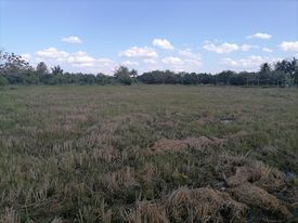 ที่ดินเปล่า หางดง เชียงใหม่ 3-3-18 แถมที่ให้อีก40.3 ตร.ว