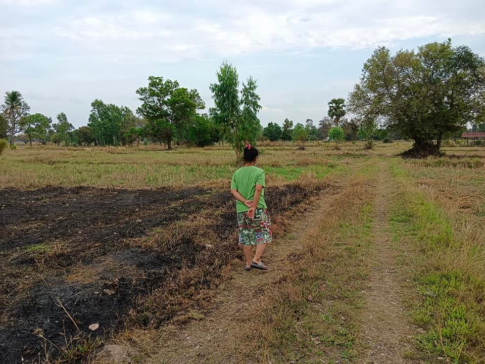 ที่นา บ้านโพธิ์ ต.โพธิ์ใหญ่ อ.วาริน อุบลราชธานี 10-3-53