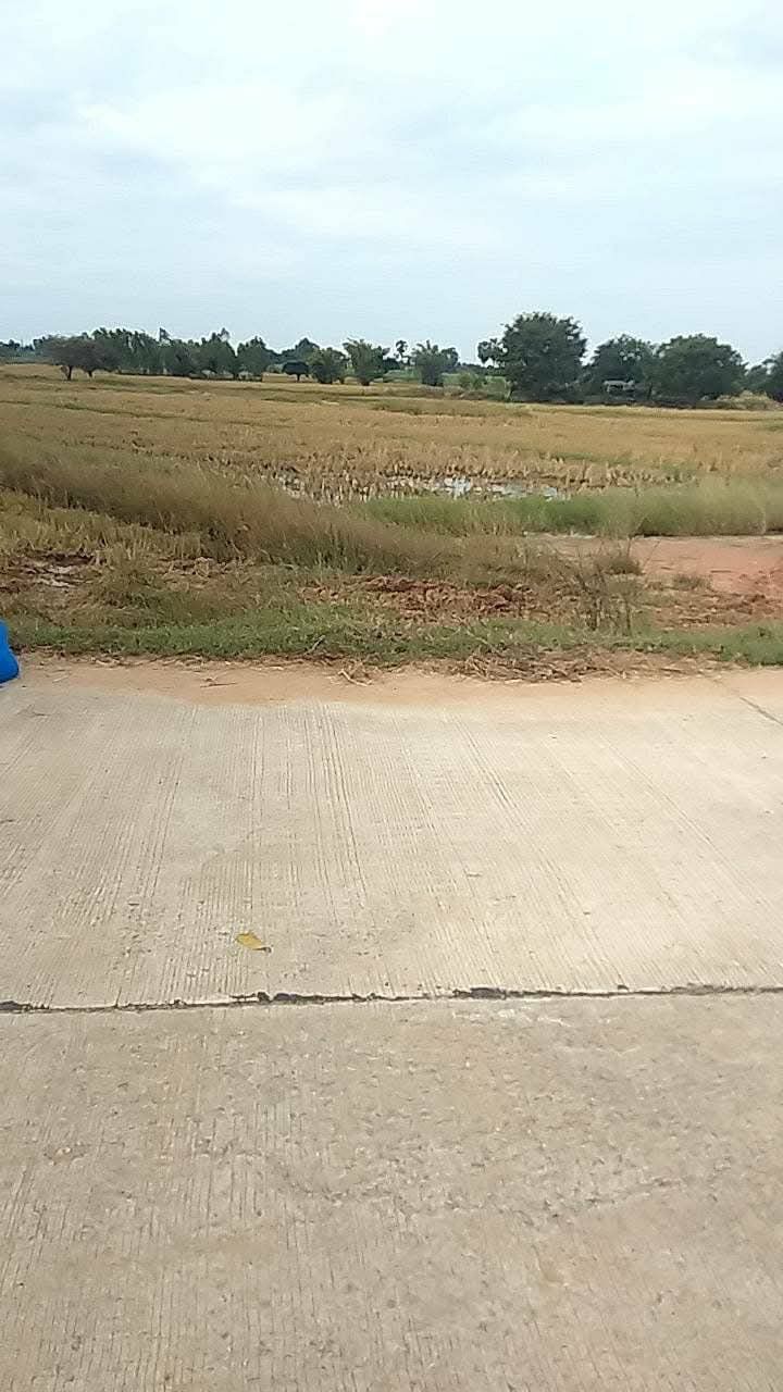 ขายที่ดินขอนแก่นบ้านไผ่ ที่ดินแปลงสวย แปลงใหญ่ ลงทุนได้