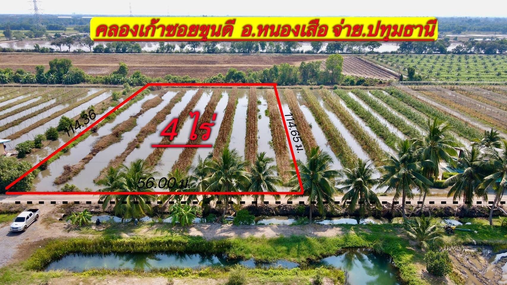 ขายที่ดินปทุมธานี แปลงสวยงาม ทำเลสวย น่าลงทุน ขายราคาถูก หนองเสือ ปทุมฯ 4-0-0