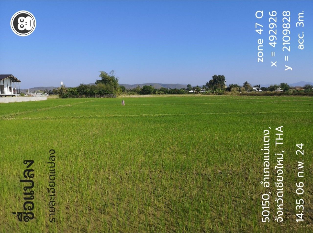 ขายที่ดินวิวทุ่งนา และ ภูเขา มีลำเหมืองหน้าที่ดิน บ้านทุ่งสีทอง อำเภอแม่แตง จังหวัดเชียงใหม่