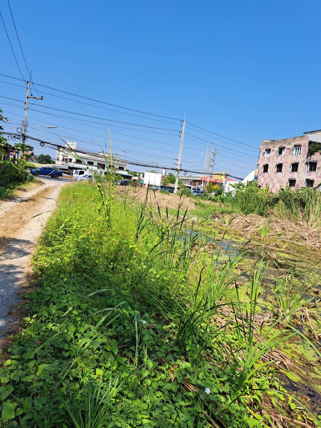 ที่ดินท่าตำหนัก นครชัยศรี ติดถนนเพชรเกษม 5 ไร่ 347 ตรว.