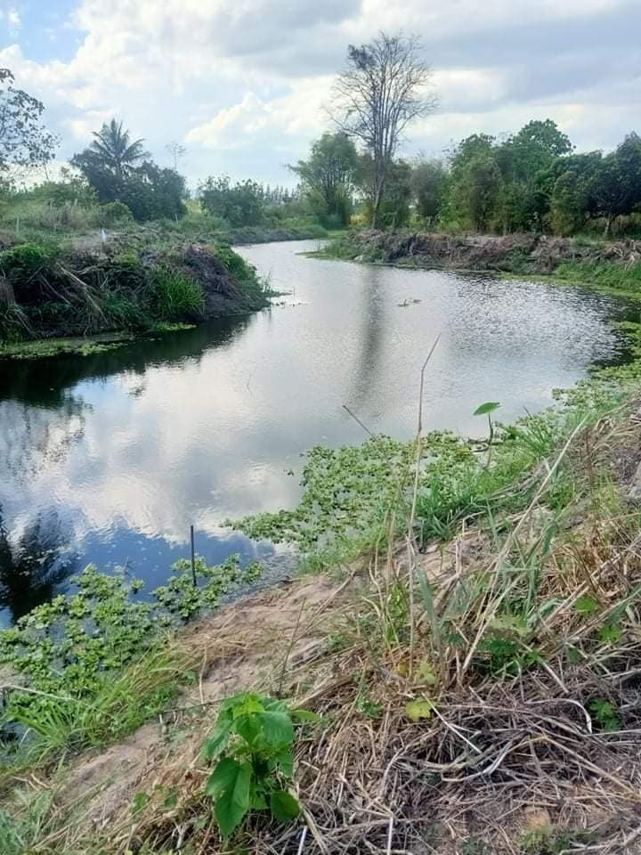 ที่ดินเปล่า ราชบุรี 7-0-0