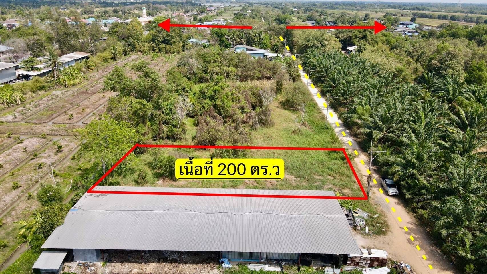 ขายที่ดินปทุมธานี ทำเลดี แปลงสวย สาธารณูปโภคครบ พร้อมลงทุน หนองเสือ ปทุมฯ 0-2-0
