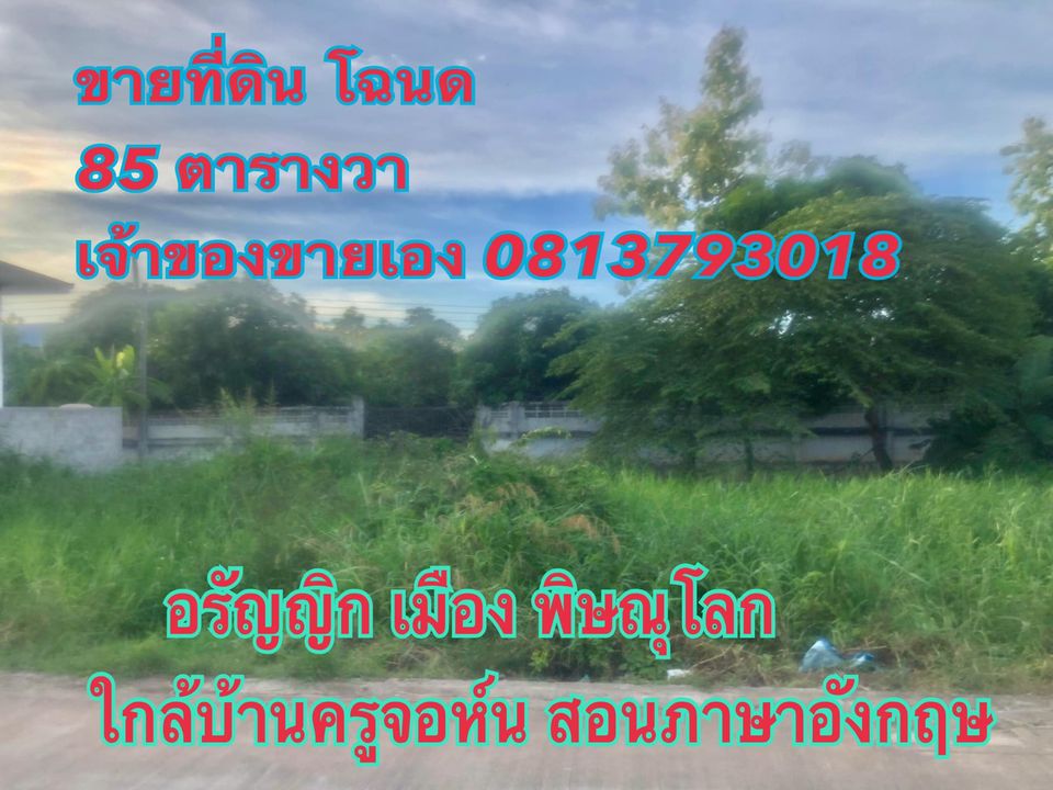 ขายที่ดินพิษณุโลก เมืองพิษณุโลก 85ตารางวา