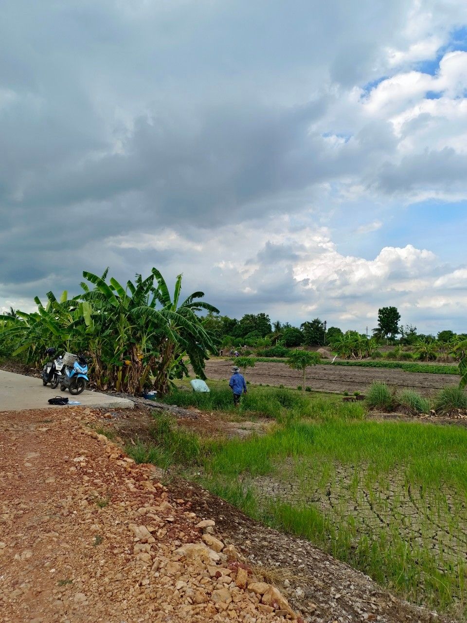 ขายที่ดิน ติดคลองริมน้ำ ติดถนนซอย บรรยากาศบ้านสวนน่าอยู่อาศัย/ทำร้านคาเฟ่ 