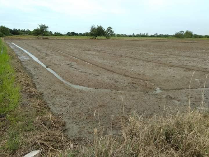 ขายที่ดินอ่างทอง สามโก้ 4-0-77