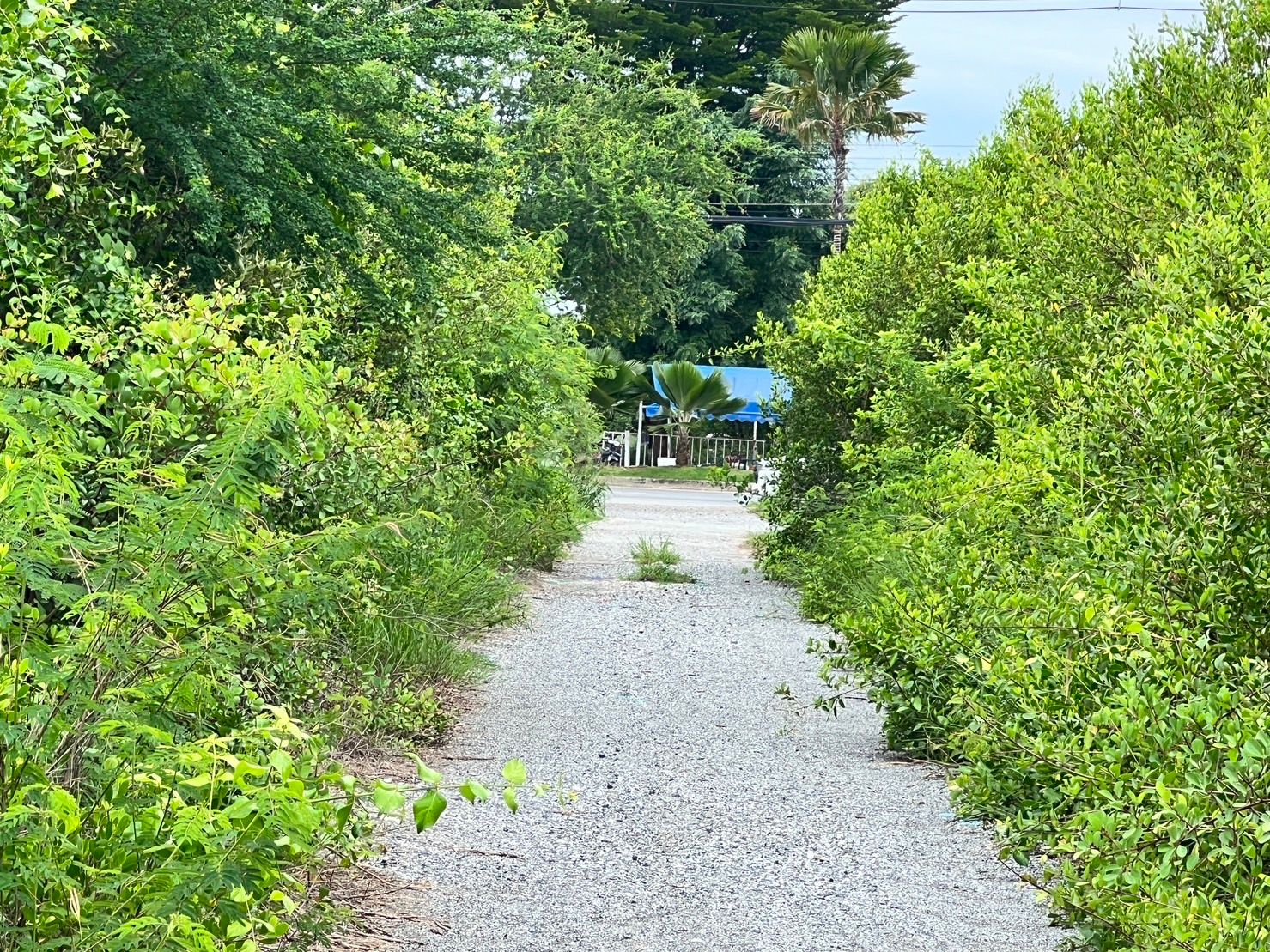 ขายที่ดินใกล้ชายหาดบางแสน