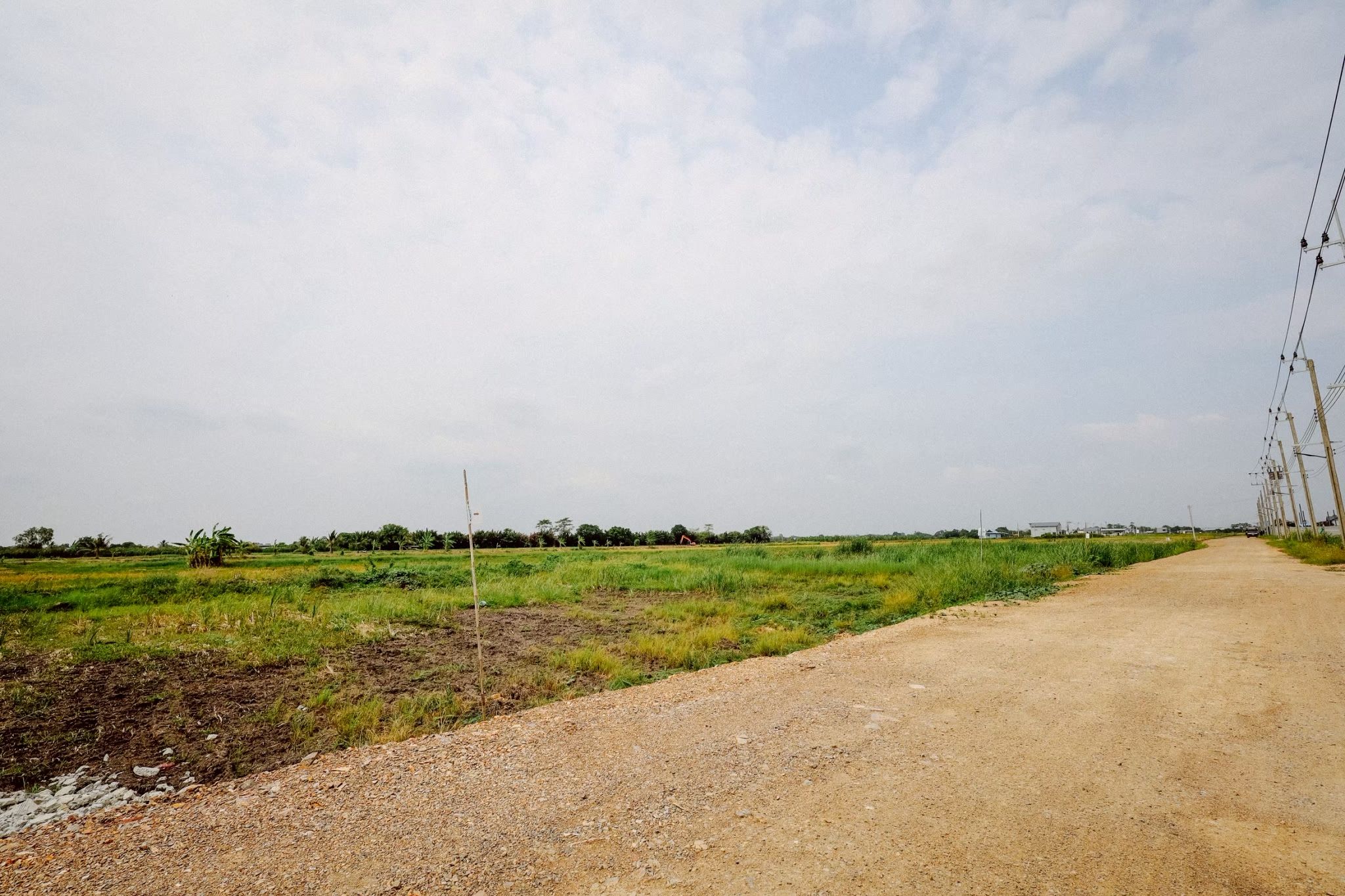 ที่สวย 100 ตรว ทำเลดี บรรบยากาศดี หนองจอก กรุงเทพ