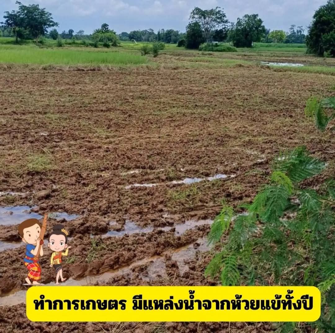 ขายที่ดินราคาถูก 7 ไร่ 2 งาน 55 ตรว.