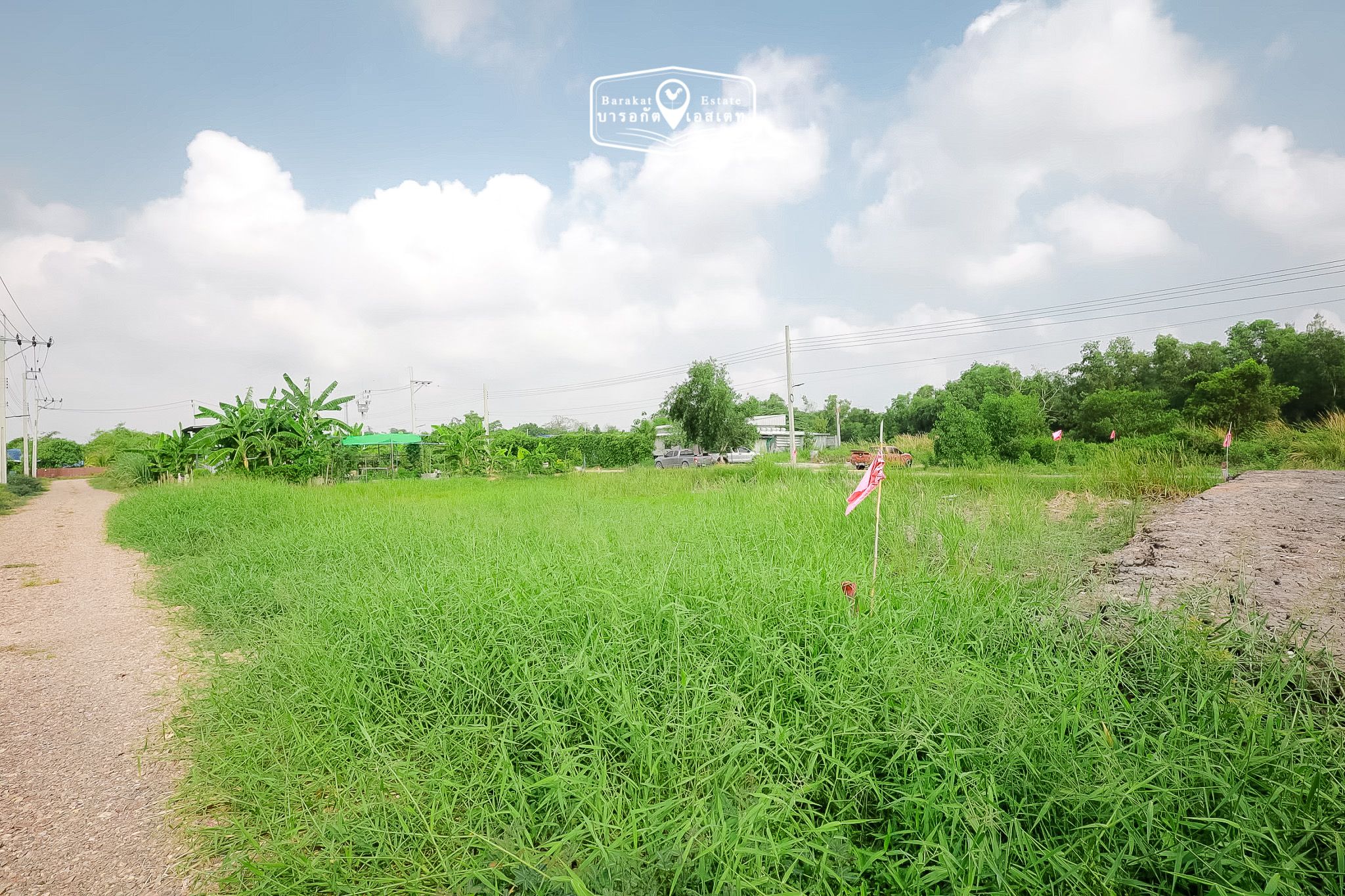 ขายที่ดินทำเลดี คลอง 12 หนองจอกที่ดินแปลงสวย บรรยากาศสงบ เดินทางสะดวก เหมาะทั้งอยู่อาศัยและลงทุน