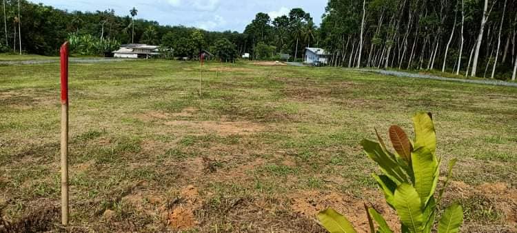 ที่ดินห้องเเบ่งขาย อ.เมืองตรัง 0-1-8.8
