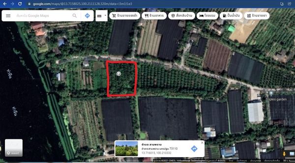 ที่ดิน เป็นสวนมะพร้าว สามพราน นครปฐม 2-2-0 