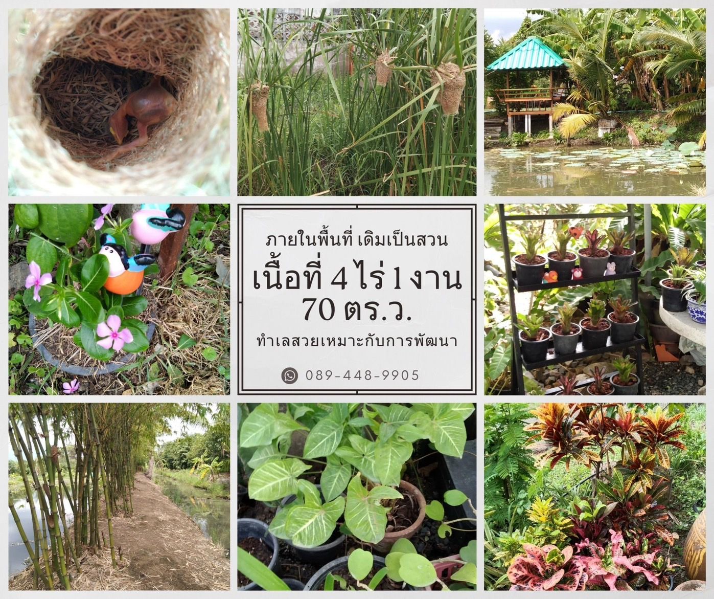 ขายที่ดินปทุมธานี อำเภอเมือง ที่ดินทำเลดี มีทางเข้า-ออก ใกล้ชุมชน ใกล้แหล่งอำนวยความสะดวก 