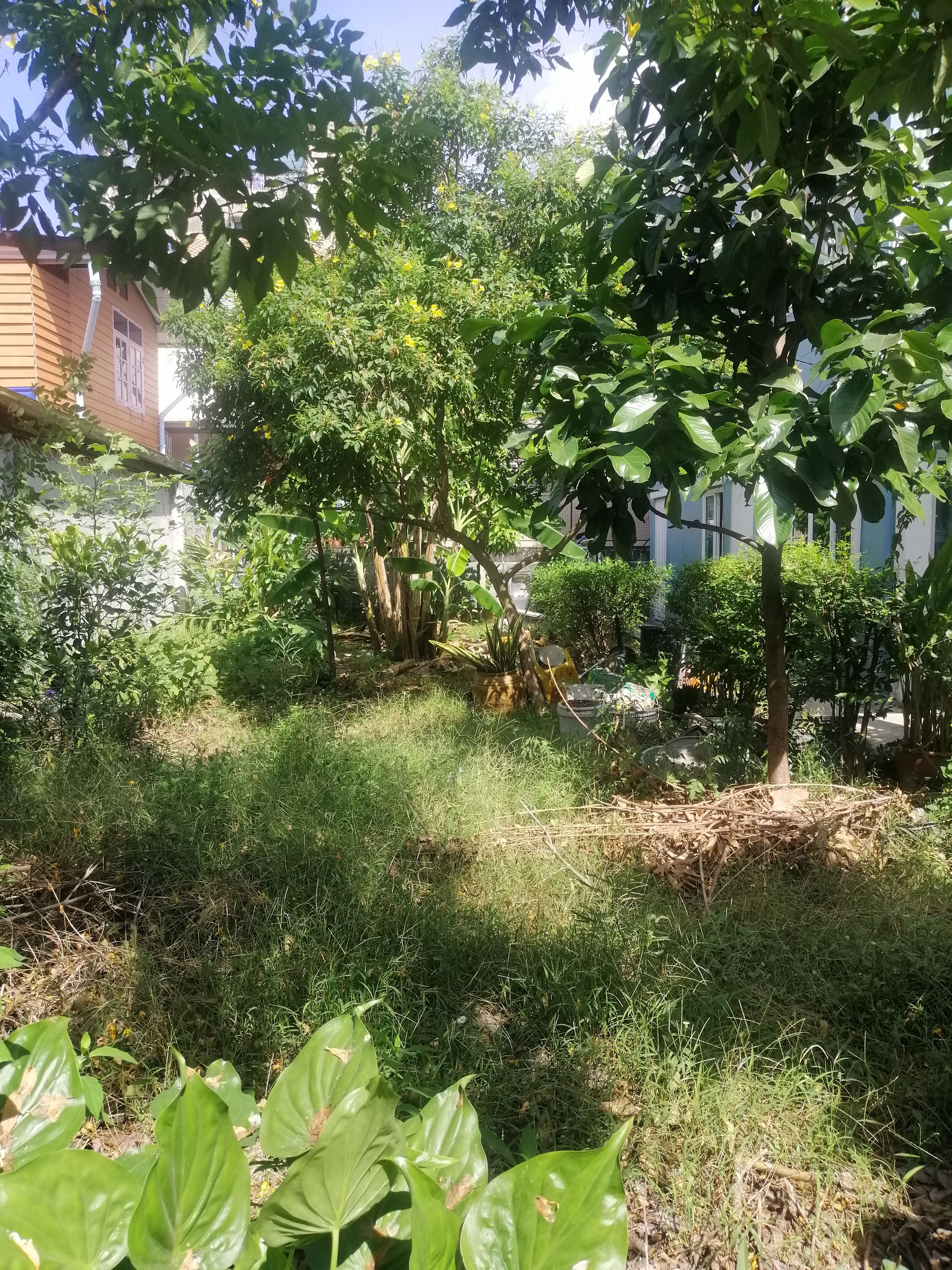 ขายที่ดินเปล่าถมแล้ว 30 ตรว. ซอยสุขสวัสดิ์ 26 แยก 2-1 ห่างรถไฟฟ้าสายสีม่วง สถานีบางปะกอก เพียง 700 เมตร 