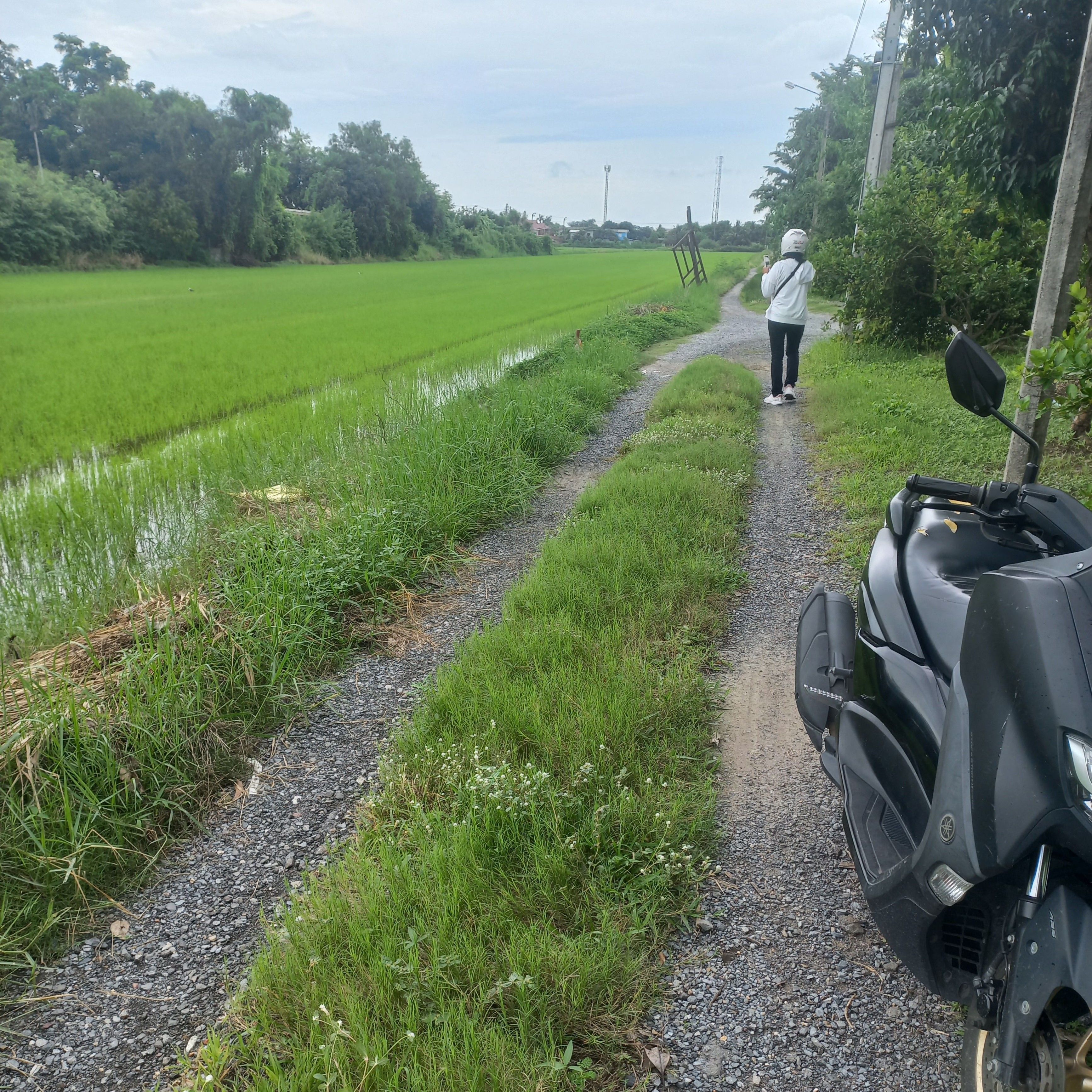 ที่ดินมีนบุรี ราคาถูก