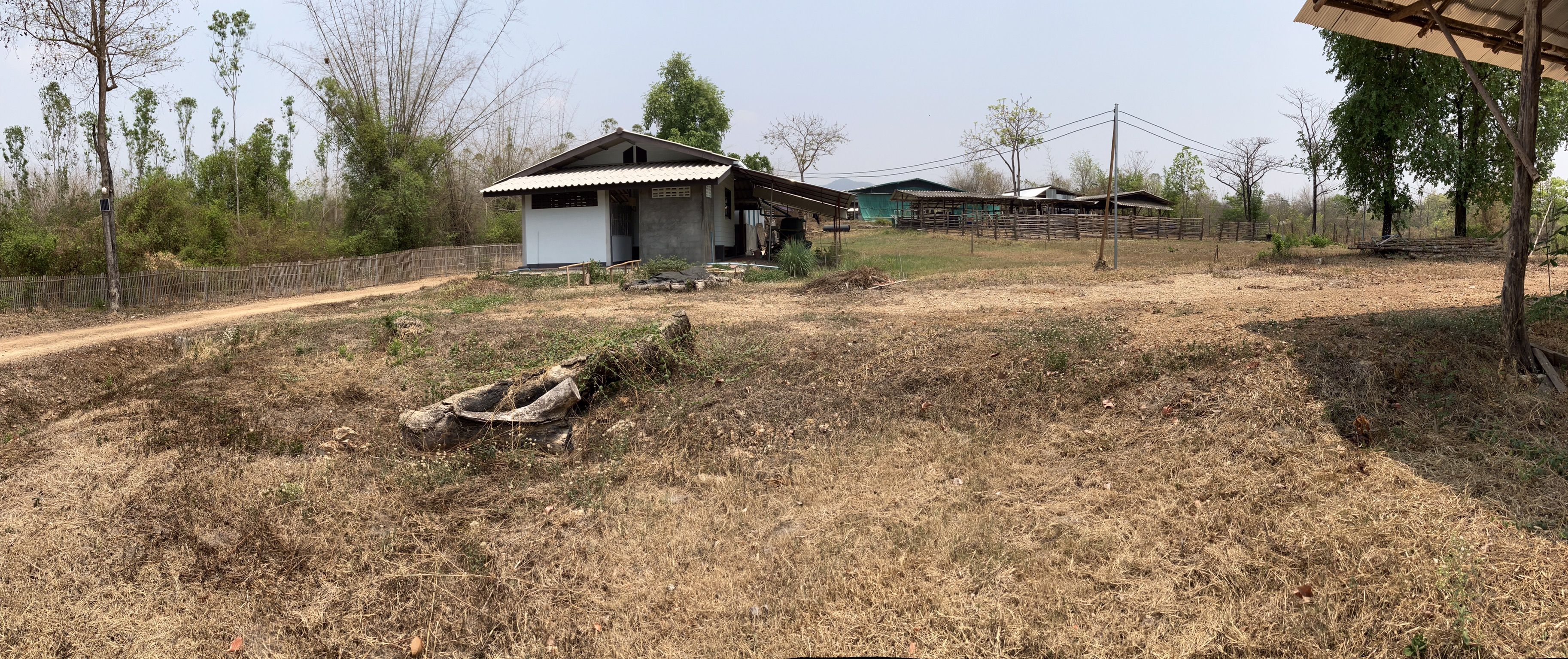 ที่สวน พร้อมฟาล์มวัว ใกล้สนามบินเล็กทองปัญญา และ สวนคาวบอย บ้านโทกหัวช้างลำปาง