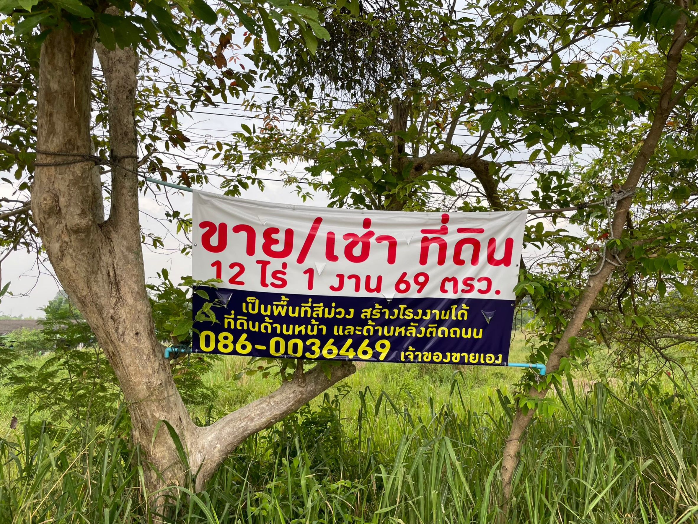 ขายที่ดินชลบุรี สีม่วง สร้างโรงงานได้