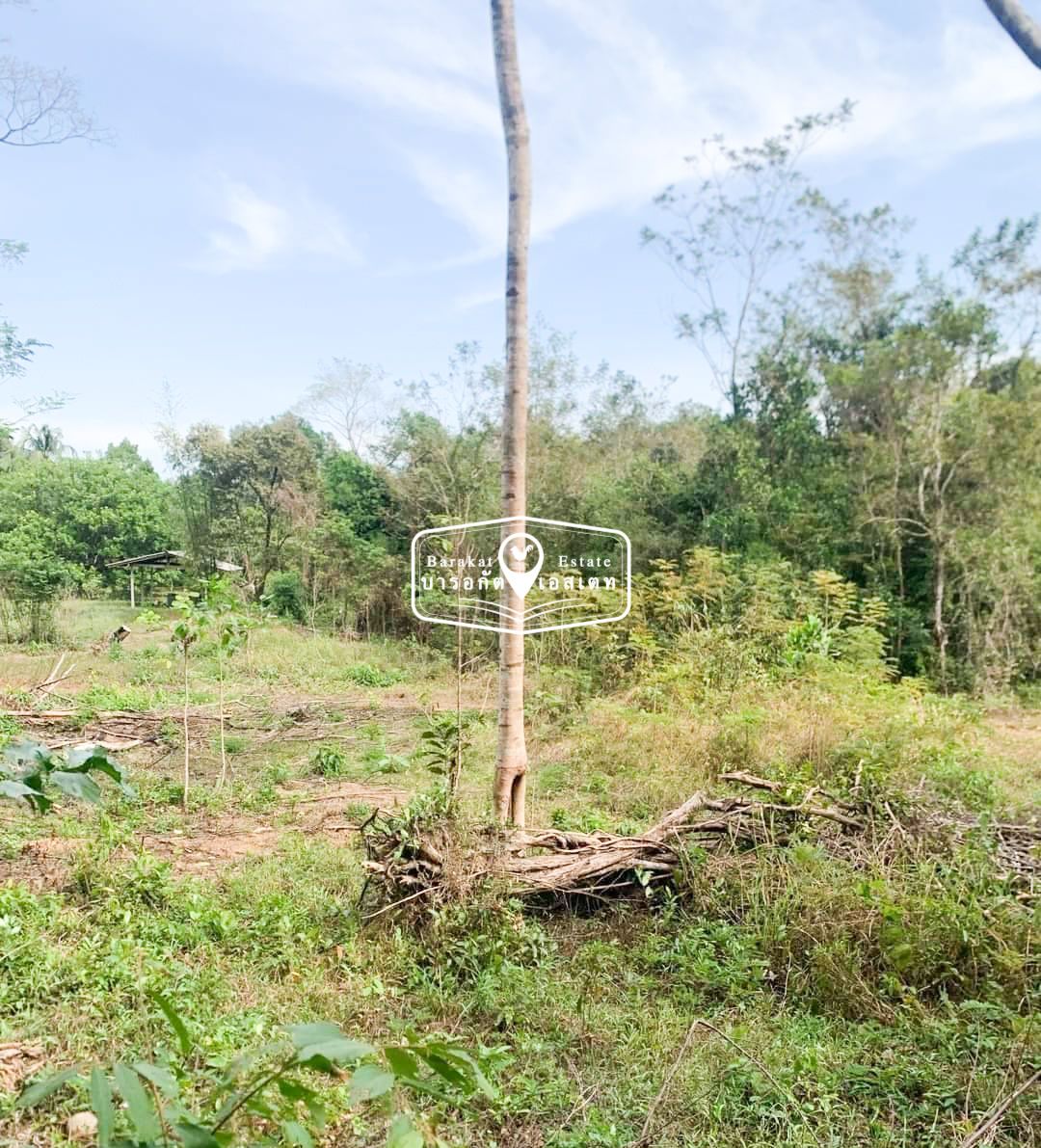 สวยจังหวัดตราด แปลงสวย หน้ากว้าง มีถนนล้อมรอบ