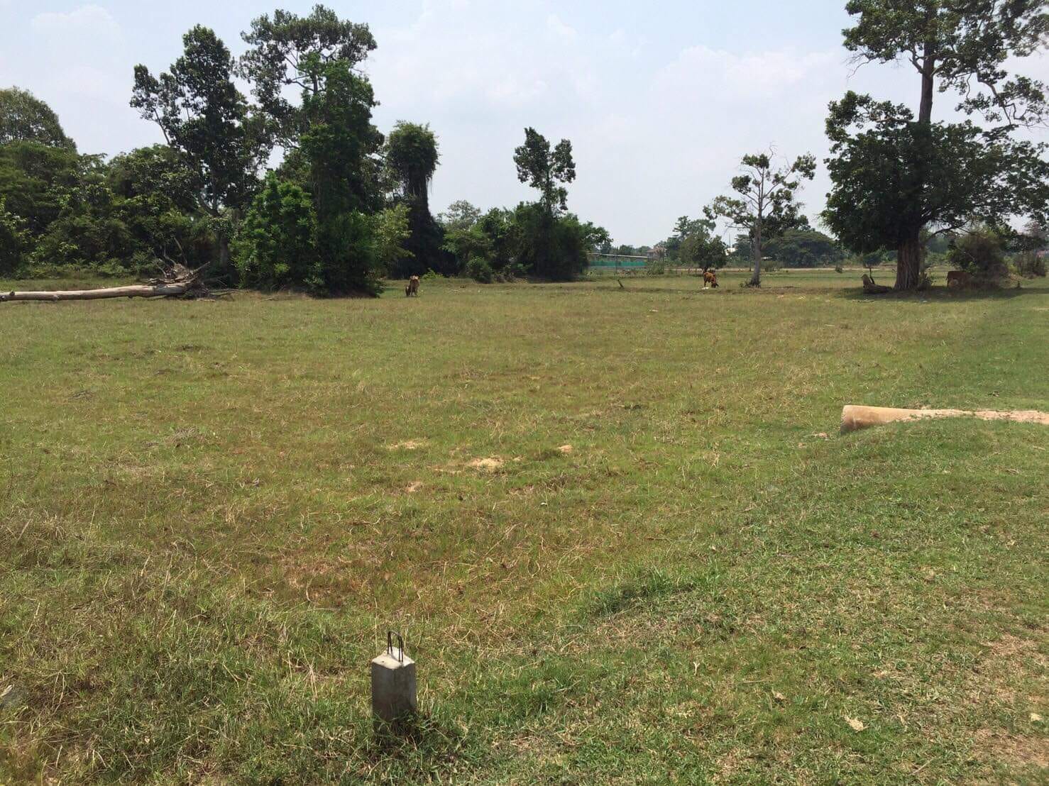 ที่ดิน ใกล้บ้านสามแยก แยกเอรวัณ ร้อยเอ็ด 1-3-46