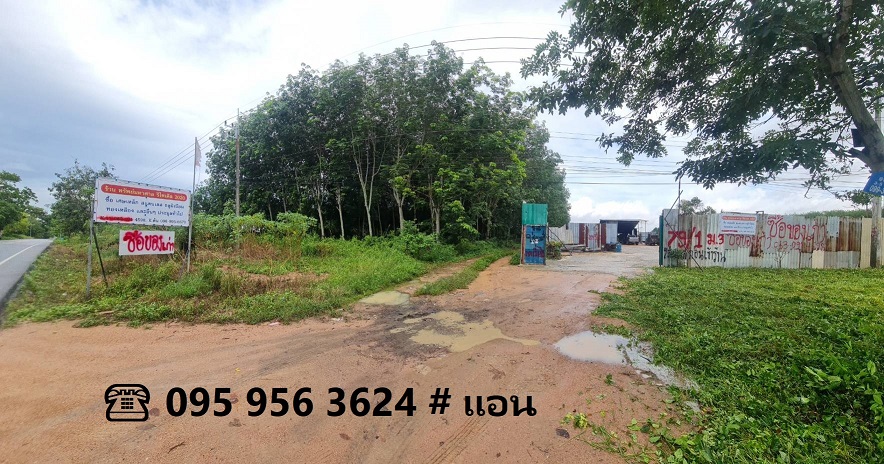 ที่ดิน แปลงสวย ผังม่วงลาย ซ.6 นิคมพัฒนา ระยอง ขนาด 18-3-48 ไร่ หน้ากว้าง 40 เมตร