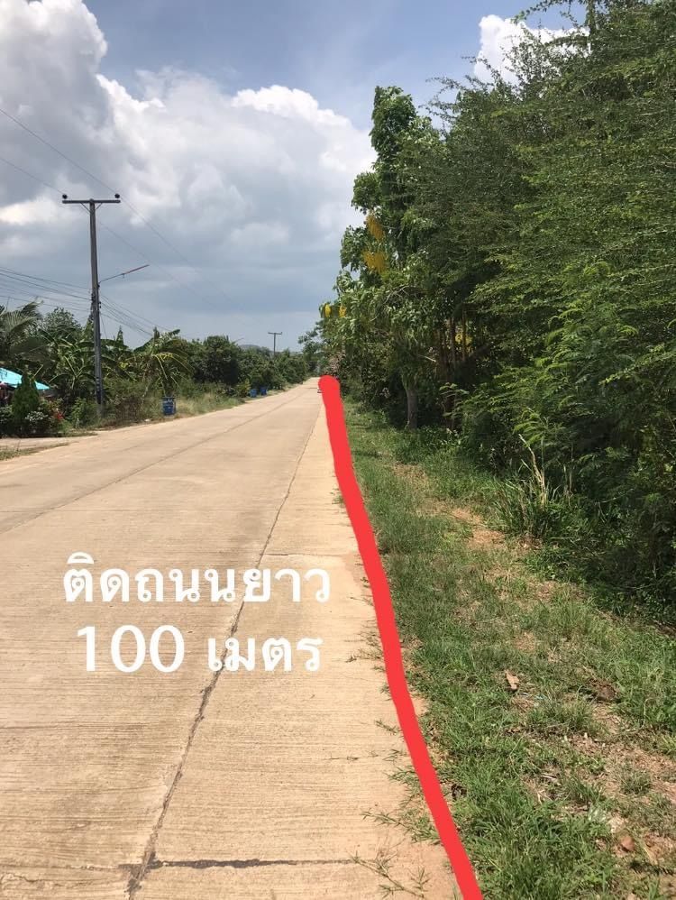 ที่ดินติดถนนคอนกรีต 100 เมตร