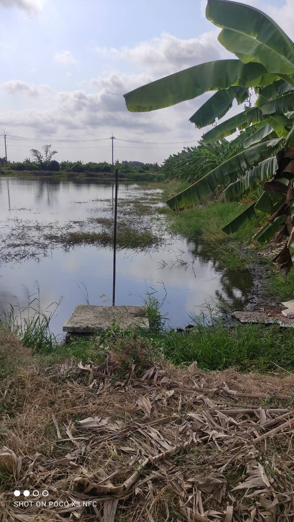 ขายที่ดิน บางเสาธง สมุทรปราการ ผังเมืองสีเหลือง