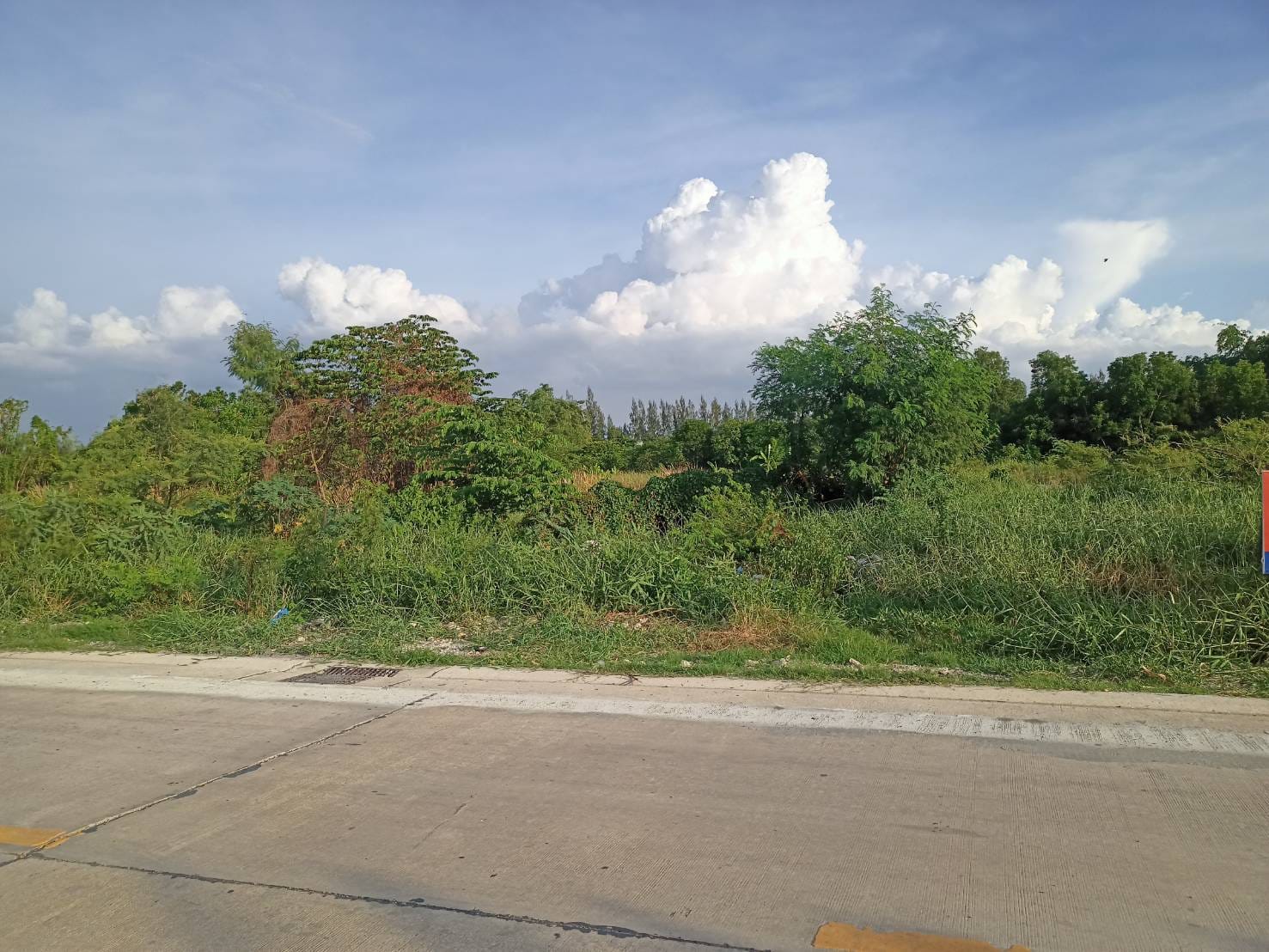 ขายที่ดินแปลงสวย คลองหลวง ปทุมธานี 1-3-30 ไร่
