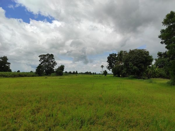 ขายที่ดินบุรีรัมย์ เมืองบุรีรัมย์ 10-1-0.4 ไร่