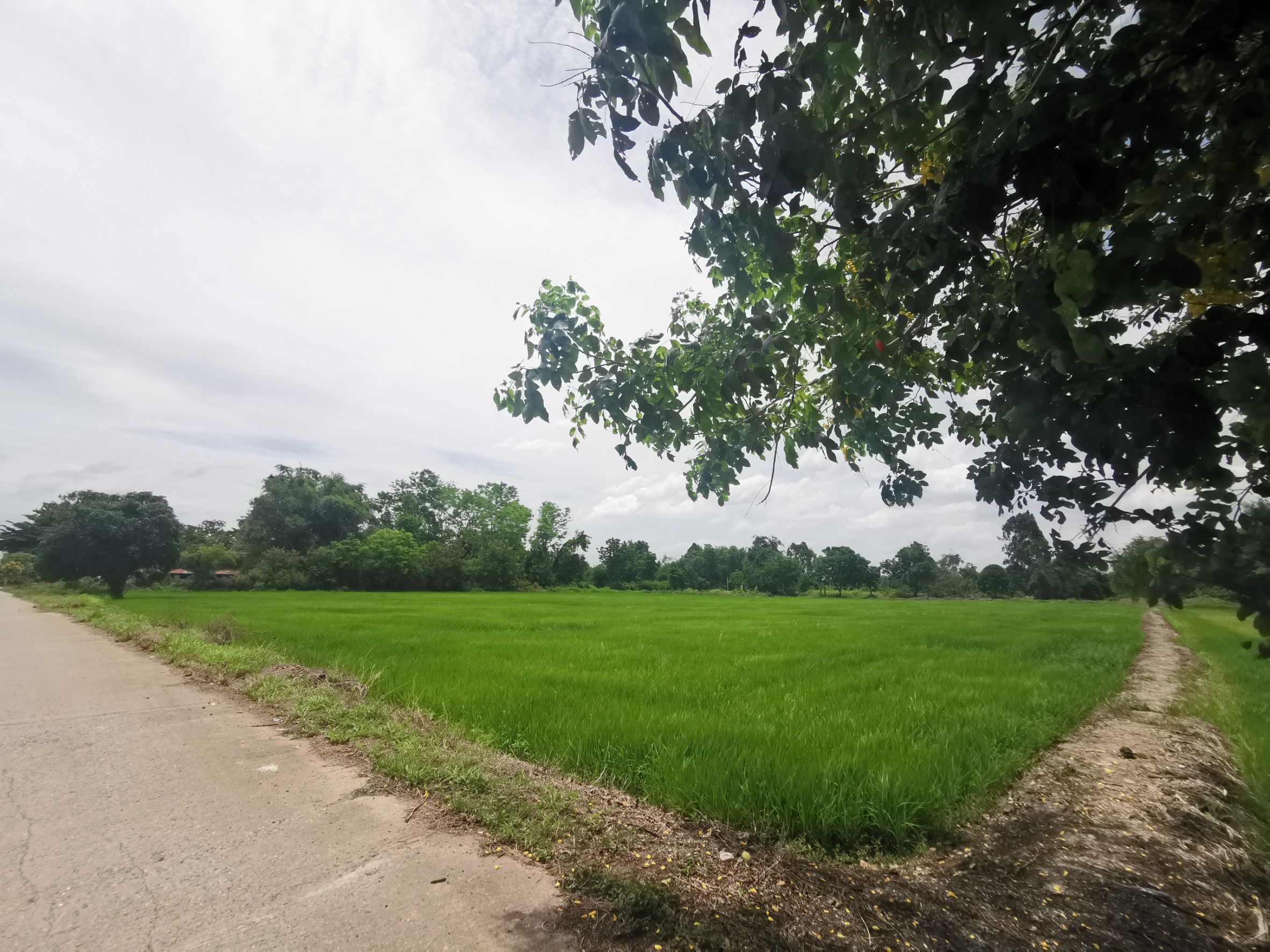 ที่ดิน