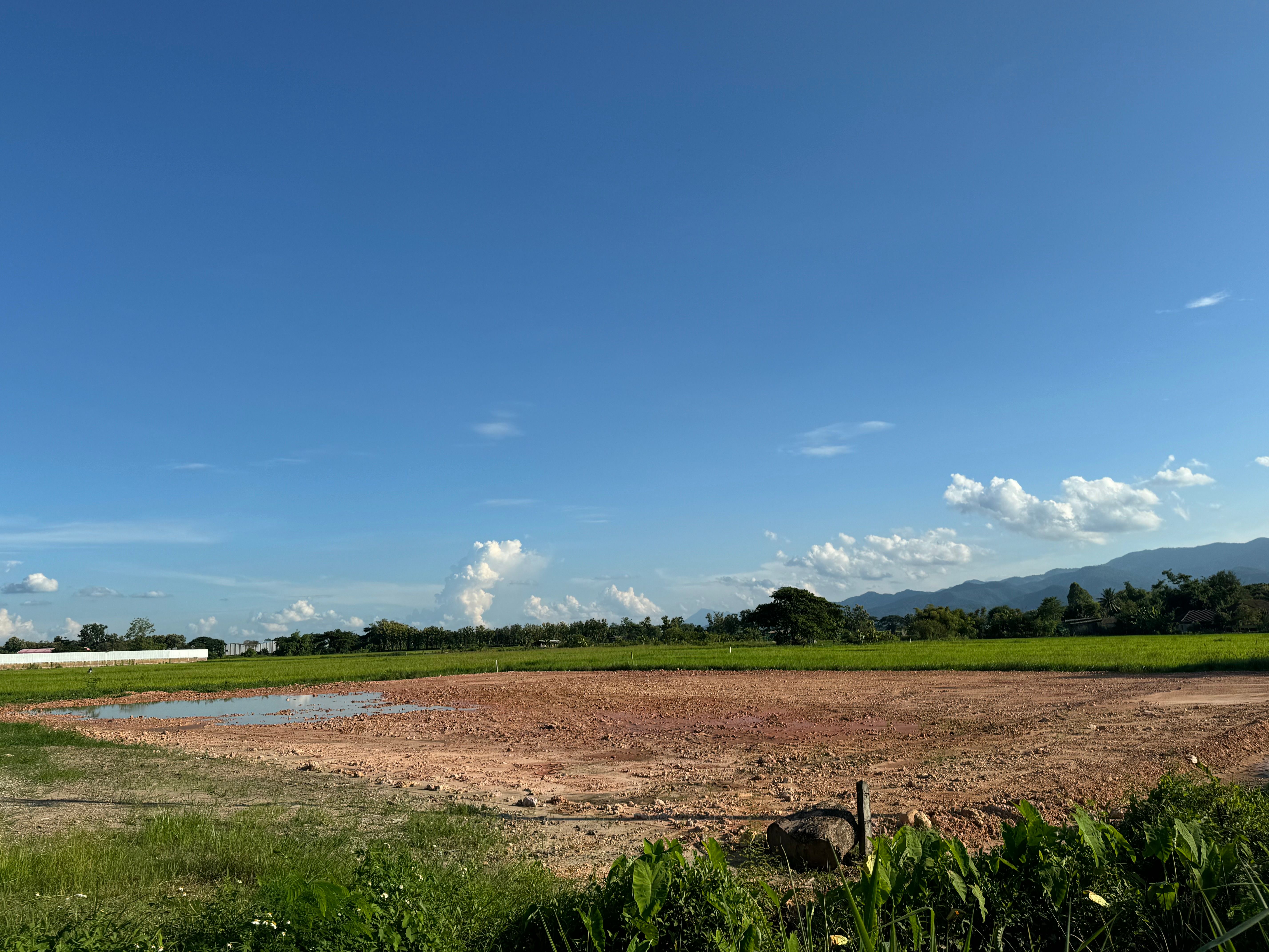 ขายที่ดินเชียงราย อำเภอพาน