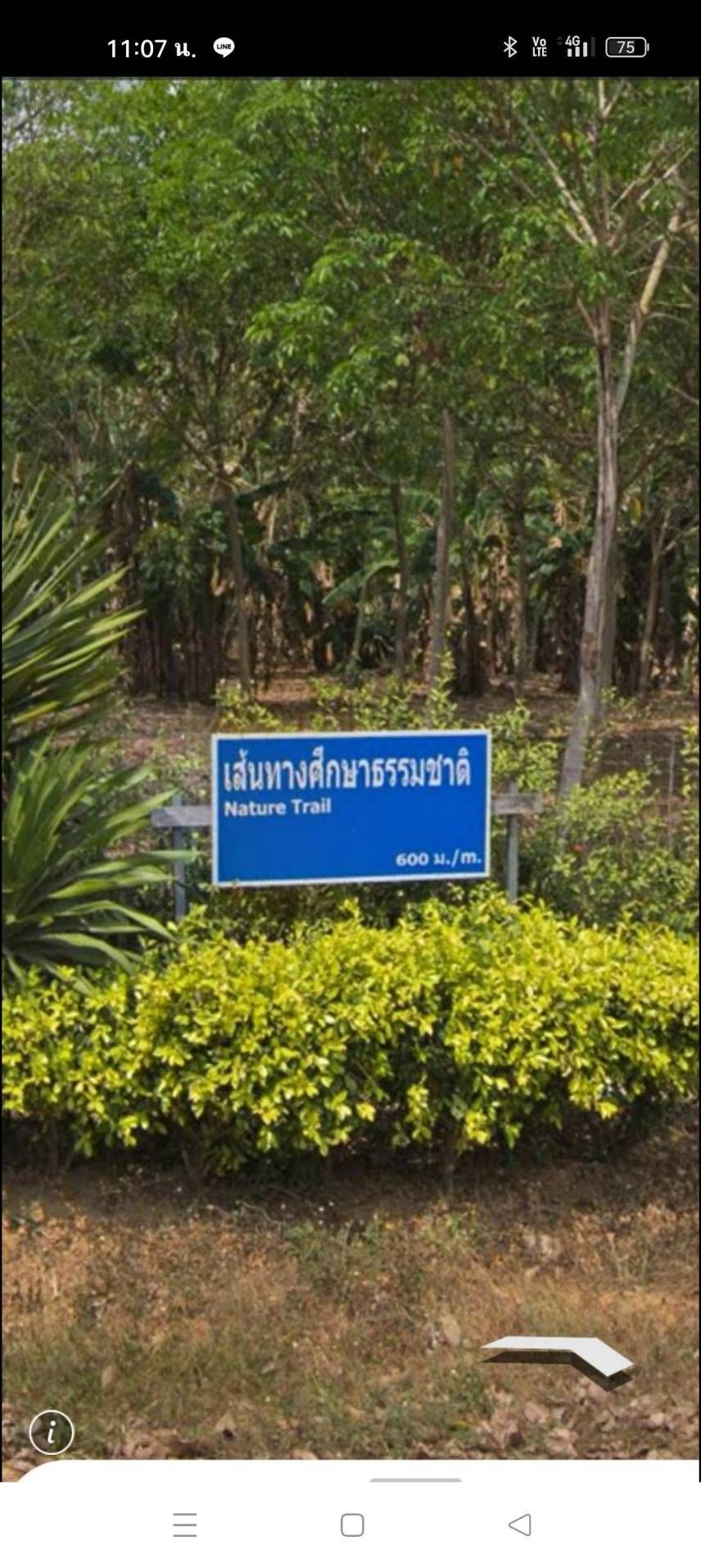 ขายที่ดินระยอง เมืองระบอง ที่ดินหน้ากว้าง แปลงสวย บรรยากาศดี น่าลงททุน 